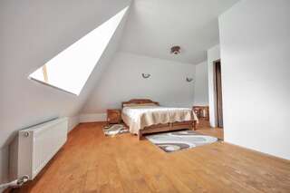 Дома для отпуска Casele de vacanta Luca & Vicentiu Botiza Двухместный номер с 1 кроватью-12